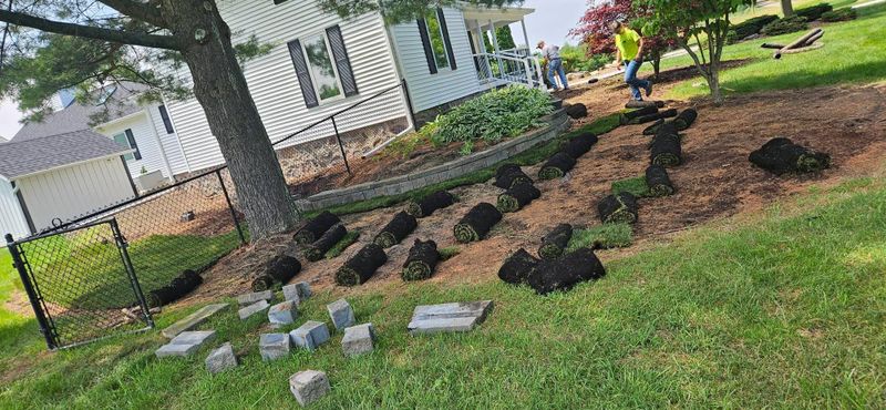 Mulch Installation