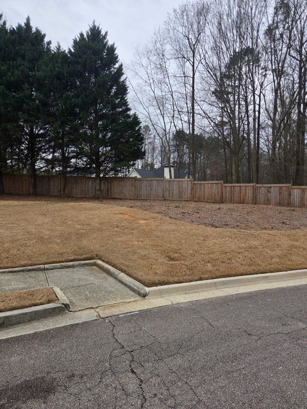 🏢 Commercial Landscape Installation