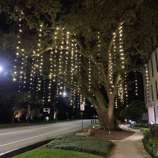 Christmas Light Installation