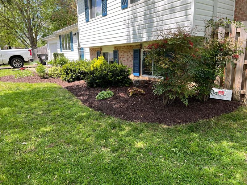 Mulch Installation