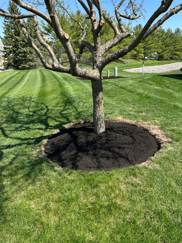 Landscaping