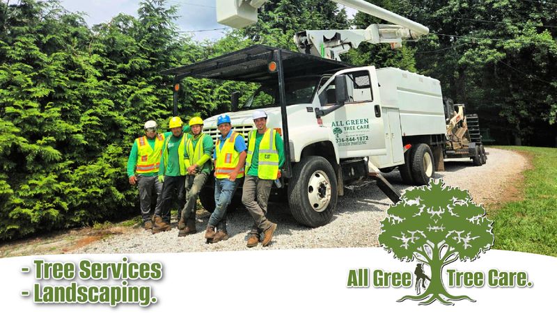 Tree Removal