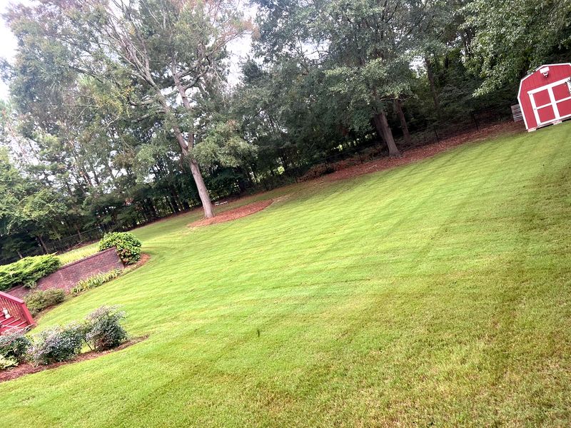 Lawn Maintenance gallery