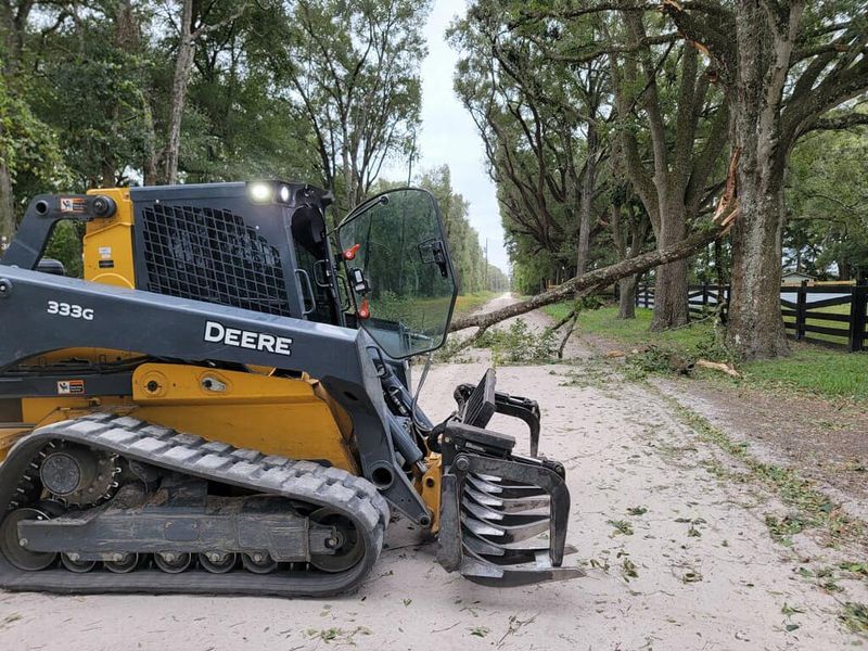 Tree Trimming & Removal gallery