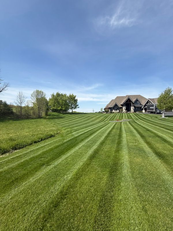 Fertilization & Weed Control