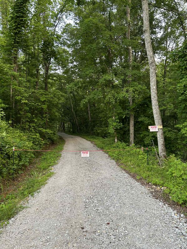 Driveway Construction