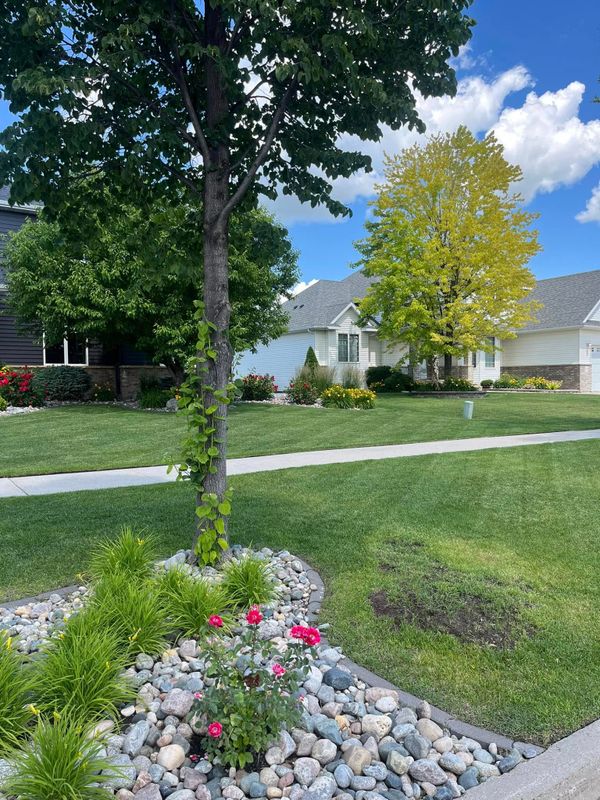 Lawn Maintenance