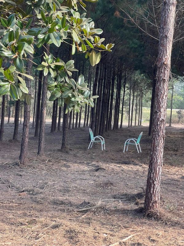 Land Clearing gallery