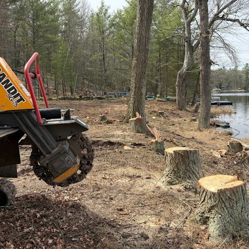 Stump Removal