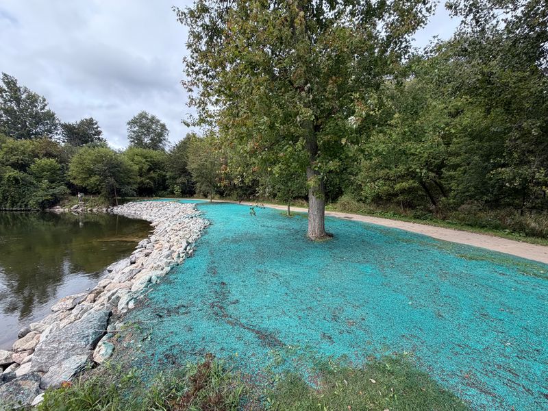 Erosion Control and Silt Fence