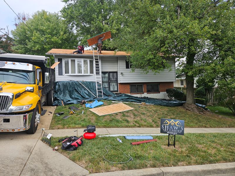 Shingle Roof Replacement