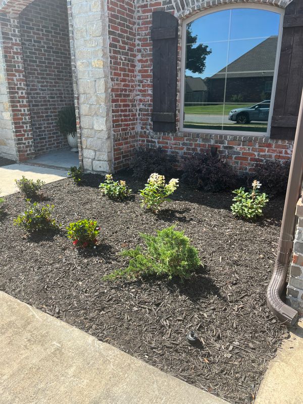 Our Work