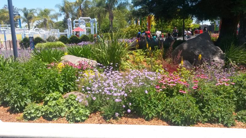 Horticultural Design