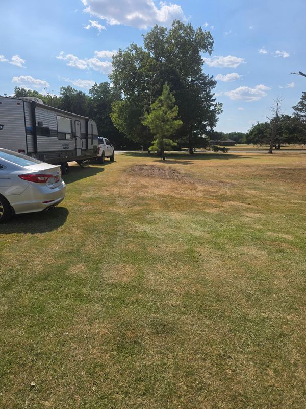 Land Clearing and Vegetation Removal