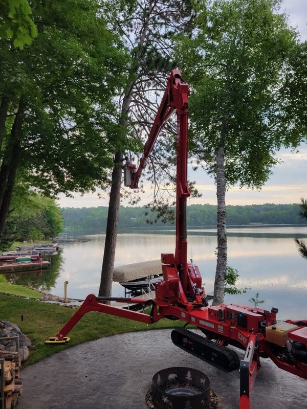 Tree Removal
