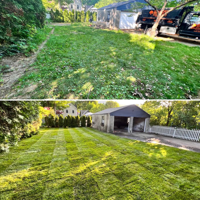 Landscaping
