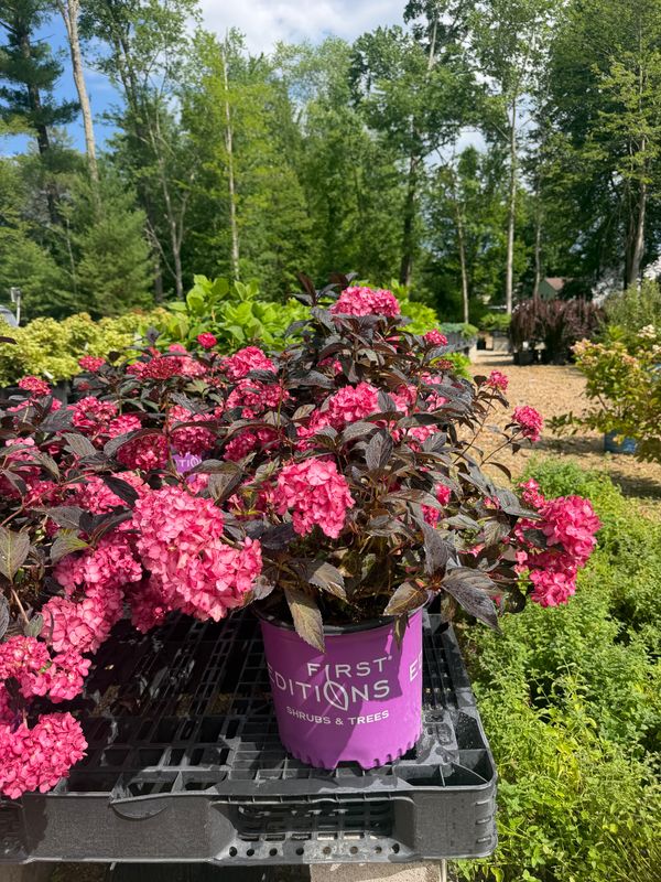 Garden Center