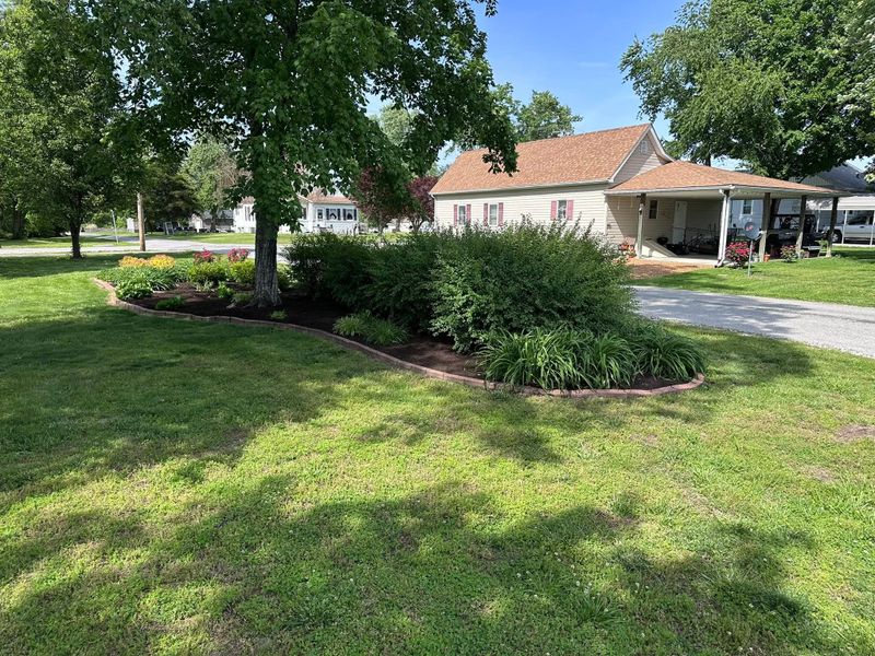 Tree & Shrub Care