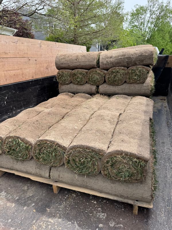 Sod Installation gallery
