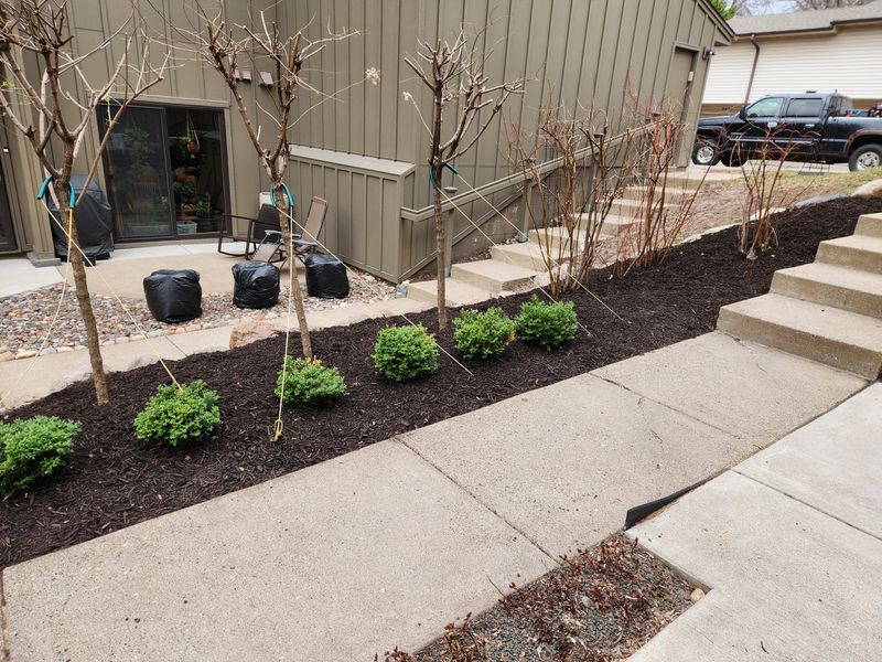 Landscaping 