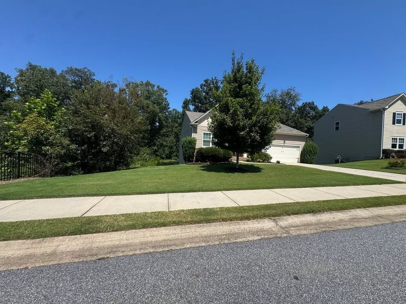 Lawn Care
