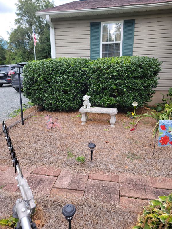 Shrub Trimming