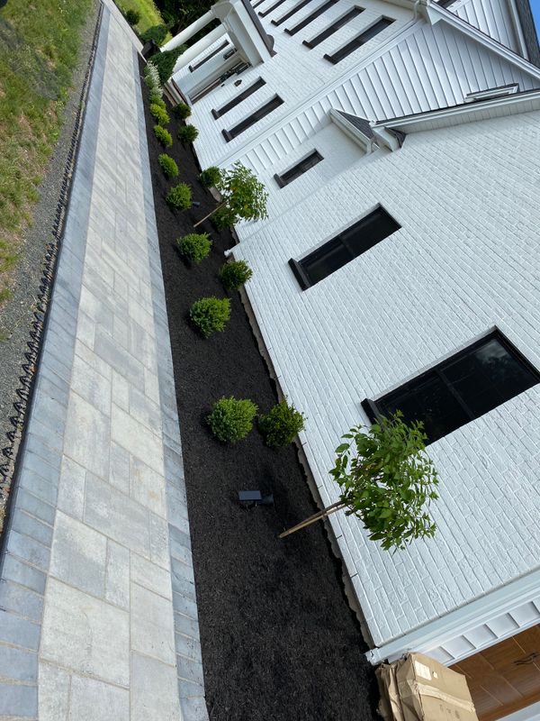 Plant & Shrub Installations