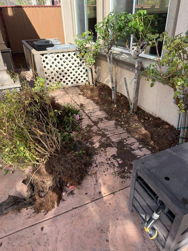 Landscaping