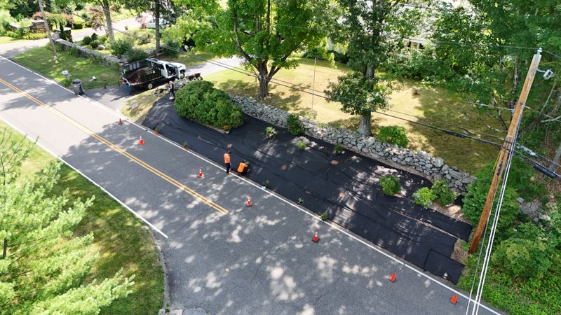 Plantings & Landscape Design