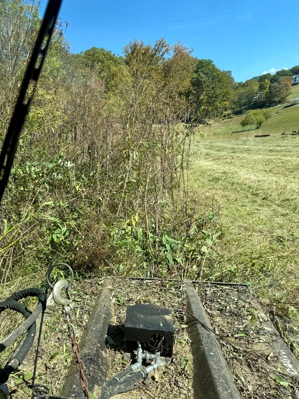 Bush  Hogging