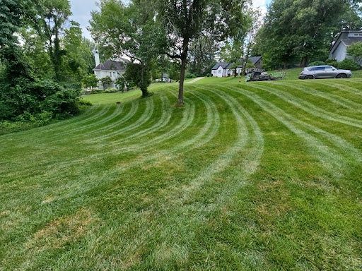 Lawn Maintenance Service