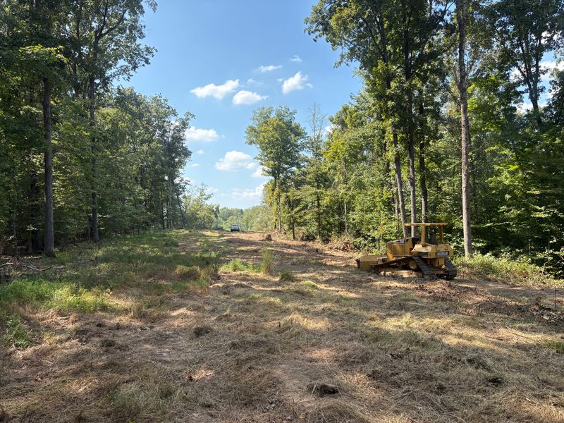 Land Clearing