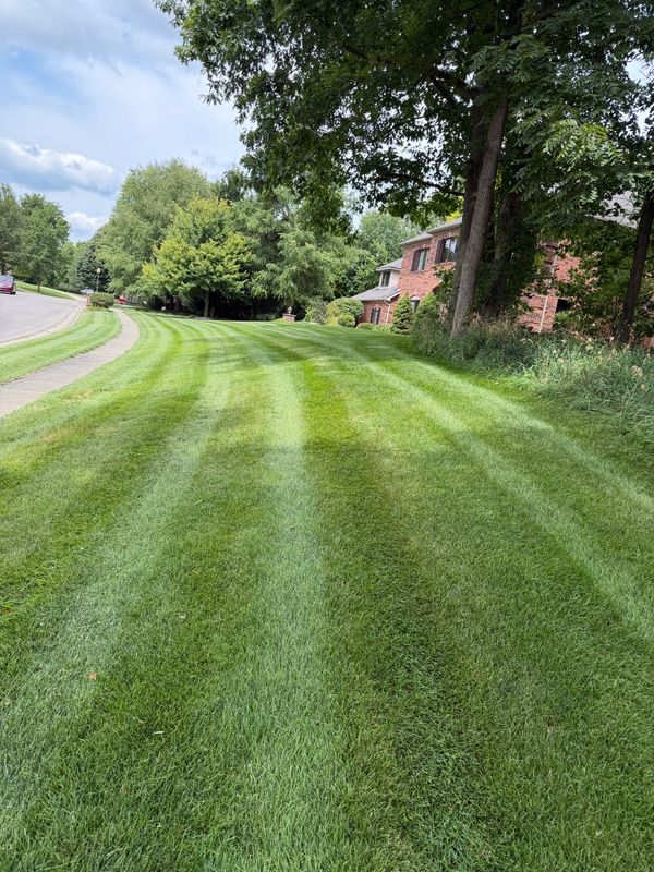 Lawn Mowing and Maintenance