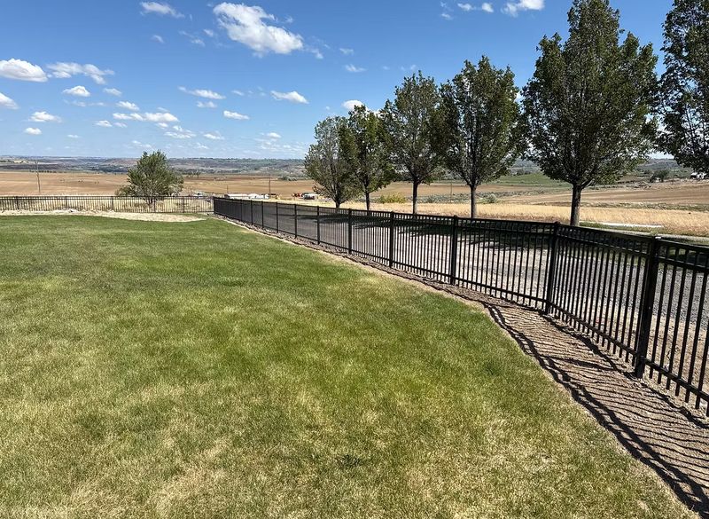 Iron Fence