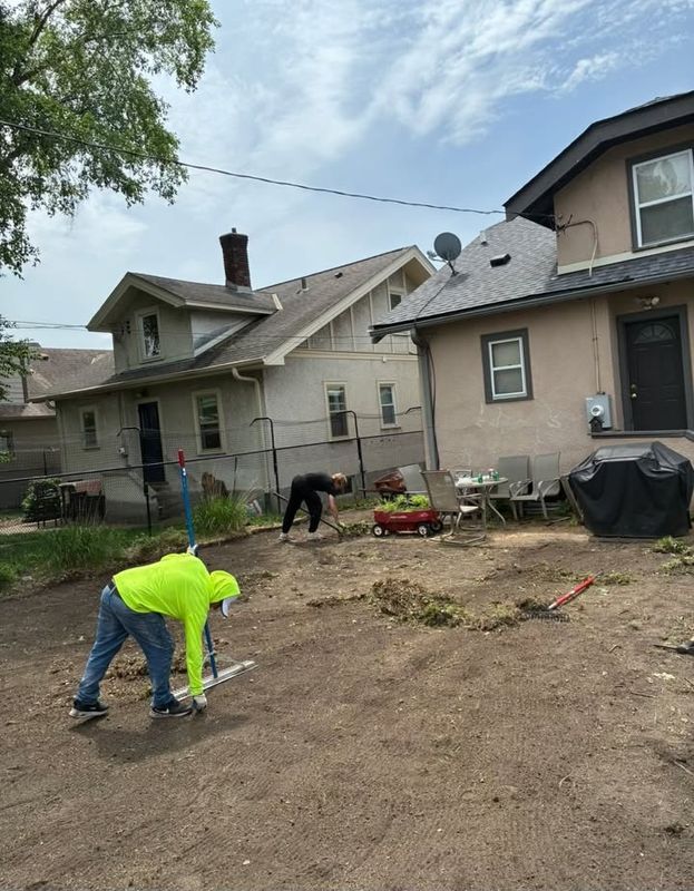 Lawn Seeding