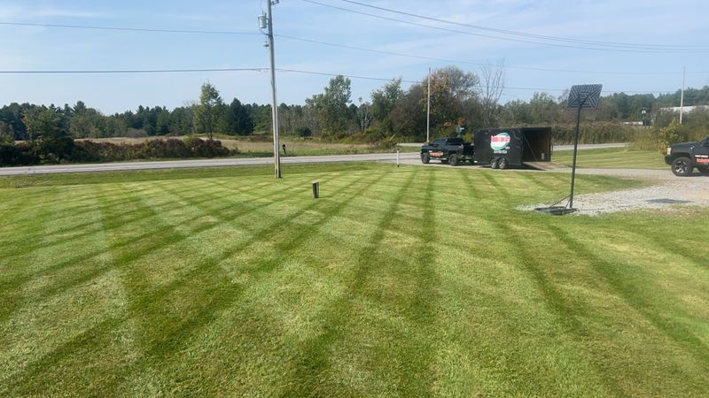 Mowing