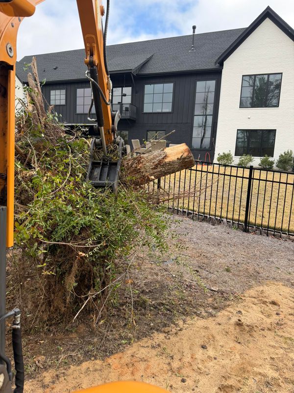 Tree & Shrub Care