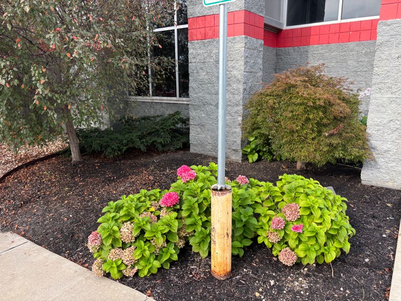 Landscaping and Irrigation Systems Repair