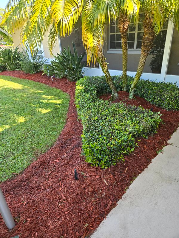 Lawn Care & Maintenance
