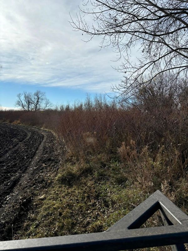 Land Grading