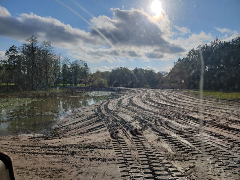 Land Clearing gallery