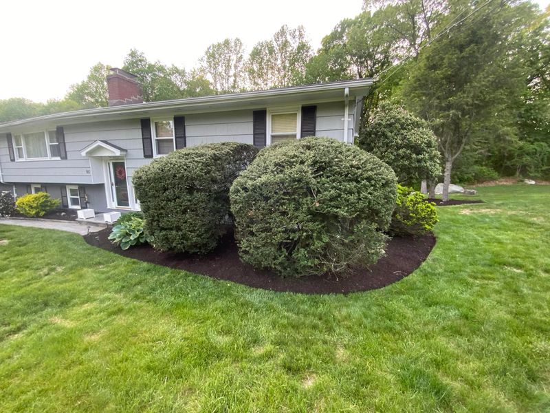 Landscape Maintenance gallery