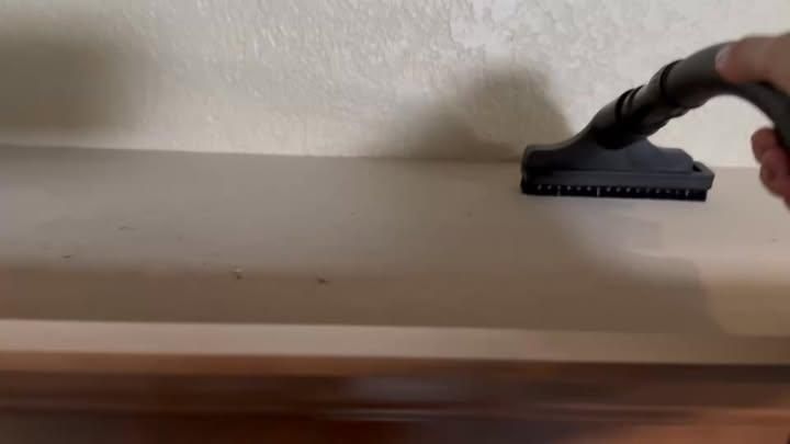 Top to Bottom Deep Clean