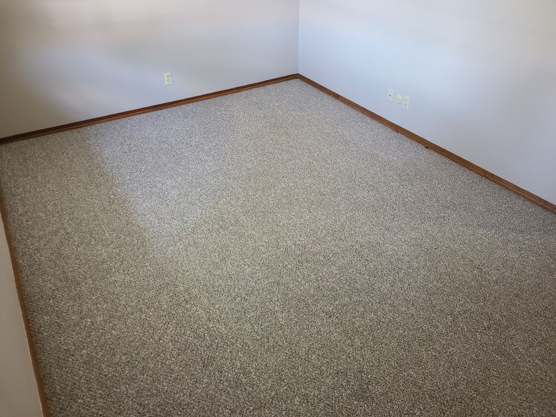 Carpet Cleaning