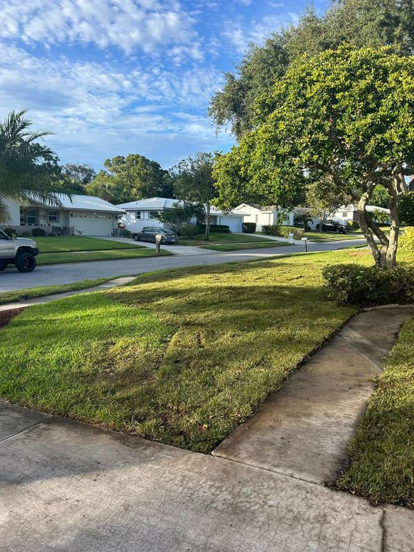 Grading and Leveling