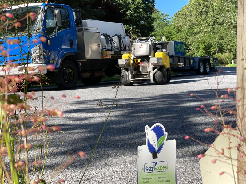 Turf Care1