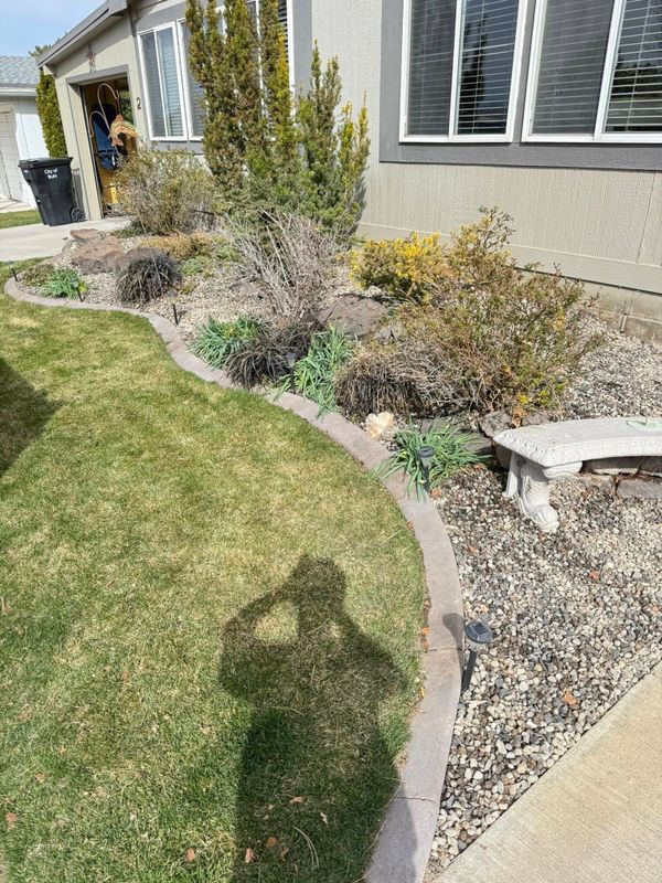 Tree & Shrub Care