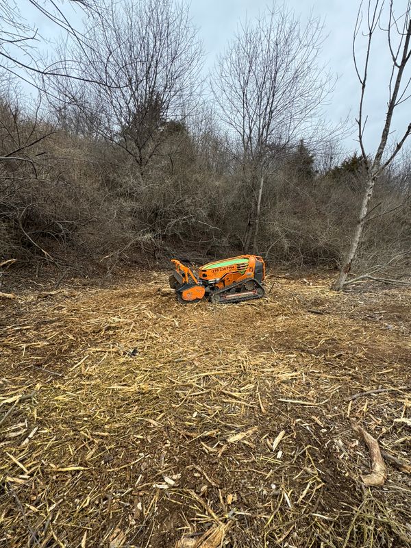 Foresty Remulching