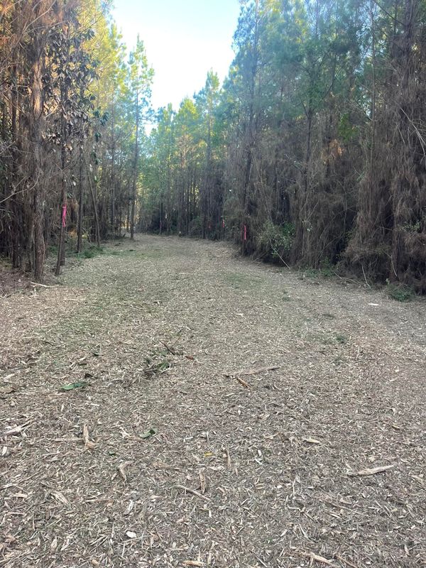 Land Clearing gallery