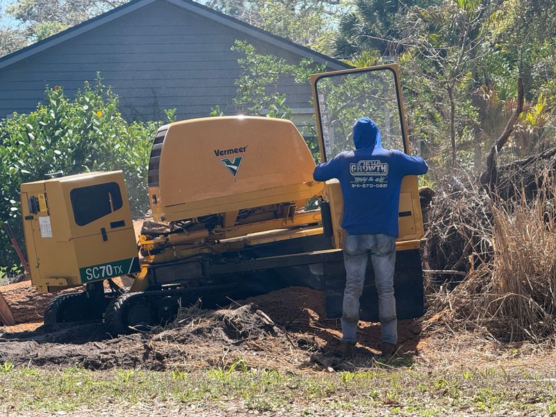 Stump Grinding